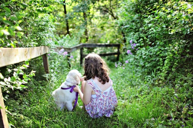 Little girl with a puppy outdoors in the woods