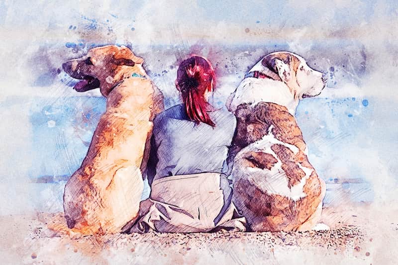 Owner sitting with two dogs, all with their backs to the camera