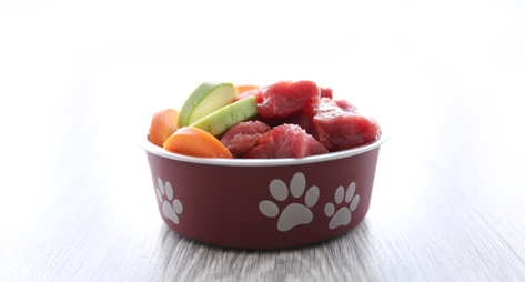 Healthy puppy food ingredients