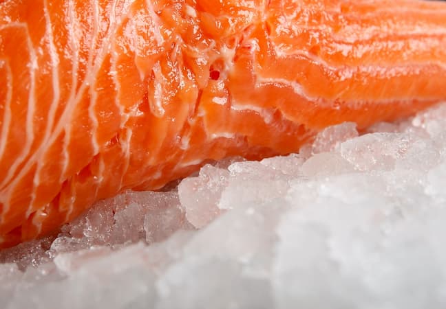 Piece if raw salmon on crushed ice